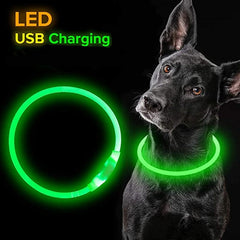 LED Waterproof Dog Collars